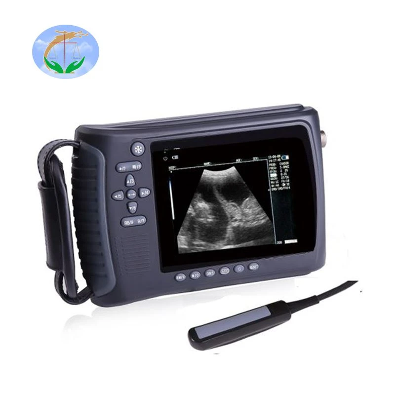 Animal Ultrasound Picture Animal Ultrasound Picture