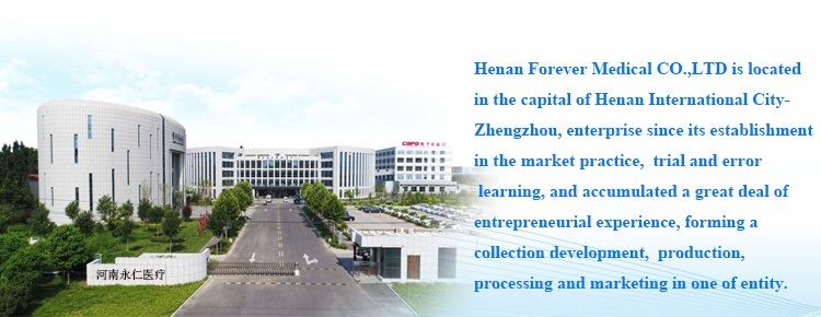 product-750-290 Company Introduction