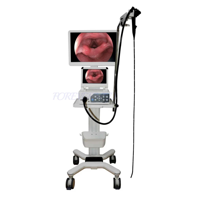 Veterinary Endoscopy Equipment suppliers Veterinary Endoscopy Equipment suppliers