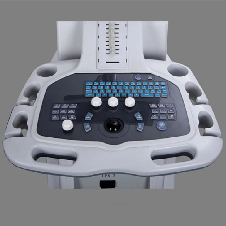 Pelvis Ultrasound Scanner Pelvis Ultrasound Scanner
